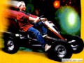 Rent a Go-Cart!